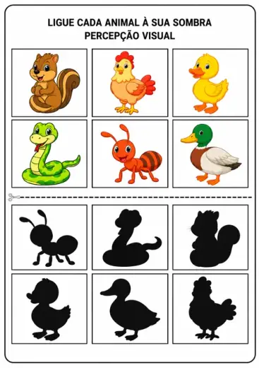 Ligue cada animal à sua sombra