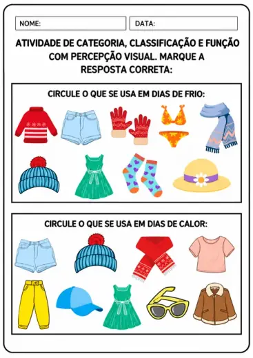 Categoria, classificação e função